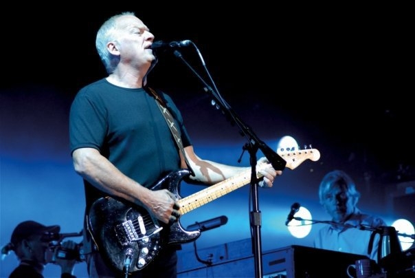 David Gilmour. David Gilmour.