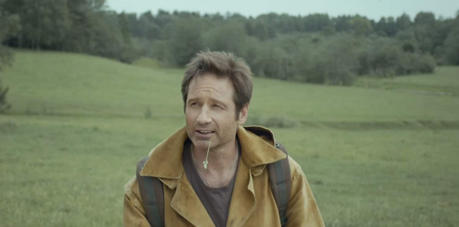 David Duchovny.