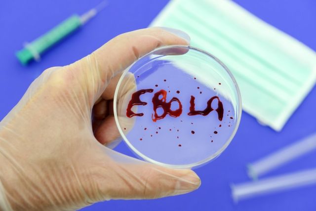 Vyznáte se v epidemiích nebezpečných nemocí?