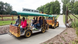 V ostravské zoologické zahradě otevřeli v červenci nové safari.