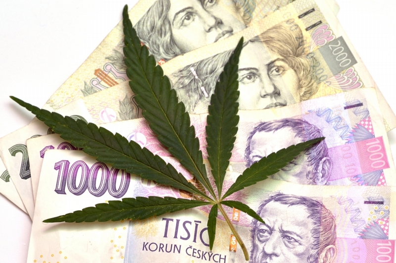Kvůli problémům s registrem pro léčivé přípravky s omezením nakupují čeští pacienti stále marihuanu od dealerů. Státu tak utíkají peníze na daních. 