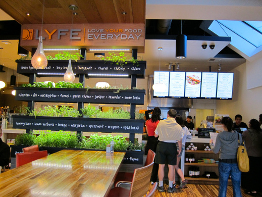Lyfe Kitchen interiér