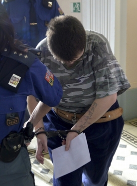 Výrok českobudějovického krajského soudu znamenal dvanáct let vězení a ochrannou léčbu.