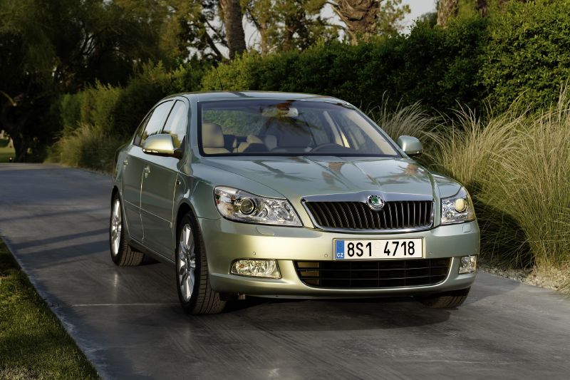 Mezi muži jasně dominovala Škoda Octavia.