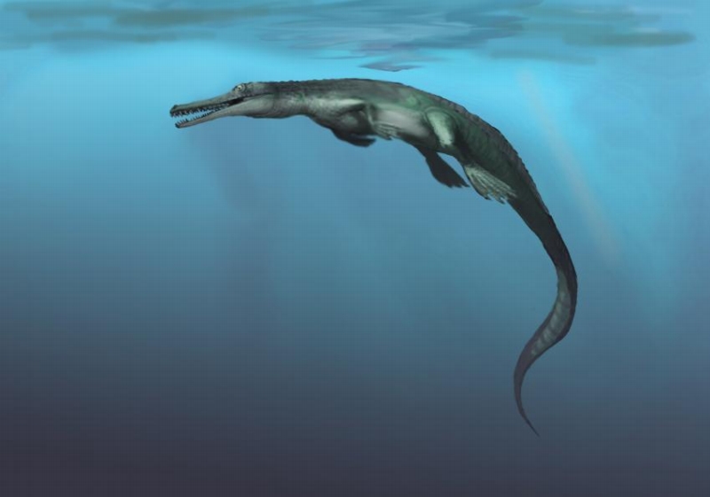 Mořský krokodýl ze skupiny Dyrosauridae, který žil v období křídy.