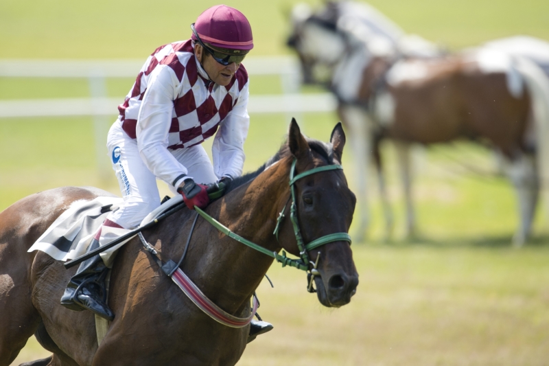 Josef Váňa se kvalifikoval na Velkou pardubickou.