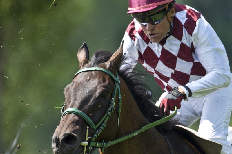 Josef Váňa se kvalifikoval na Velkou pardubickou.