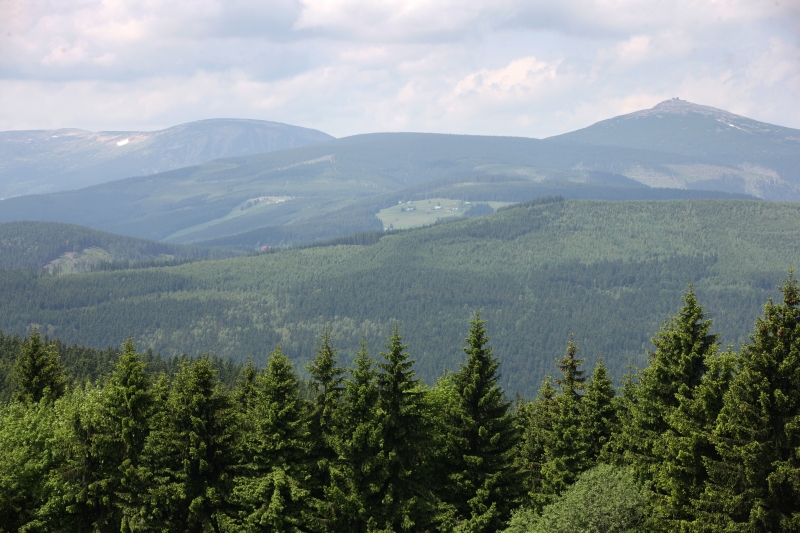 Krkonošské lesy.