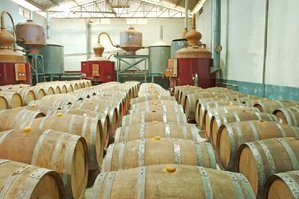 Palírna skotské whisky.