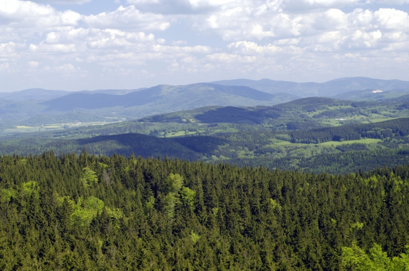 Hřebeny Jeseníků. Hřebeny Jeseníků.