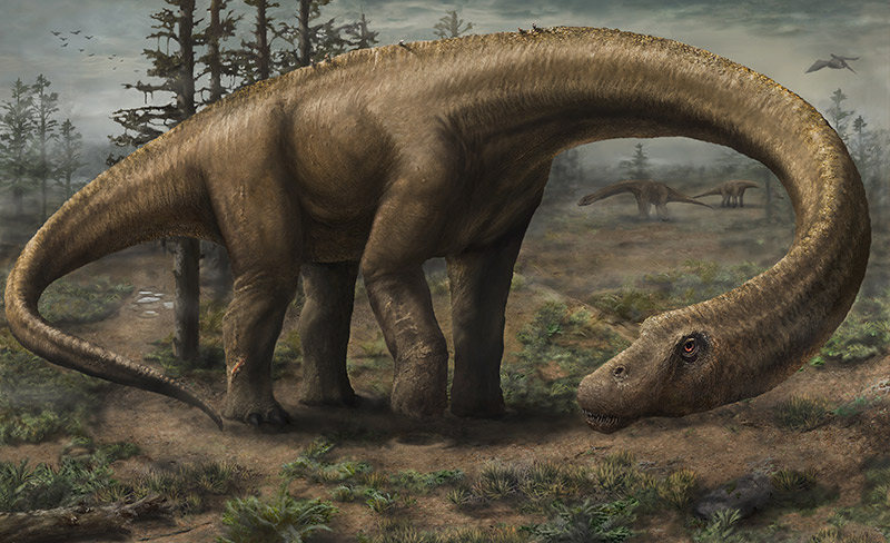 Dreadnoughtus schrani - držitel ceny pro největšího suchozemského tvora všech dob. Dreadnoughtus schrani - držitel ceny pro největšího suchozemského tvora všech dob.