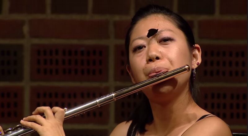 Motýl na flétnistčině čele hledal slanou vodu k pití.