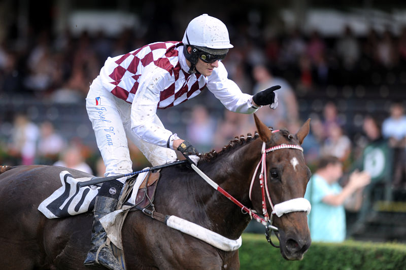 Josef Váňa mladší obhájil loňský triumf v dostihu Gran Premio. Josef Váňa mladší obhájil loňský triumf v dostihu Gran Premio.