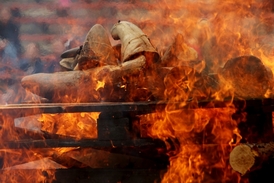 Akce Burn horns - save rhinos.