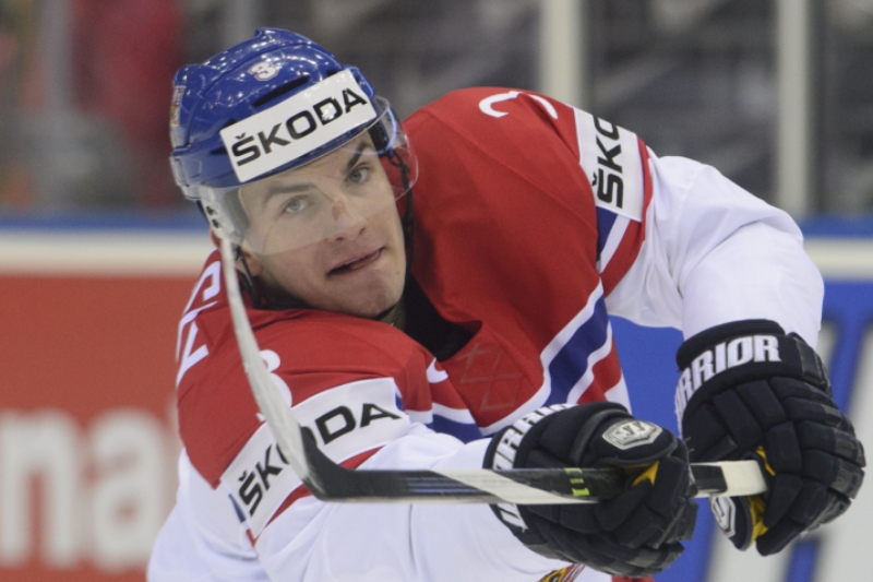 Petr Zámorský si na NHL musí počkat.