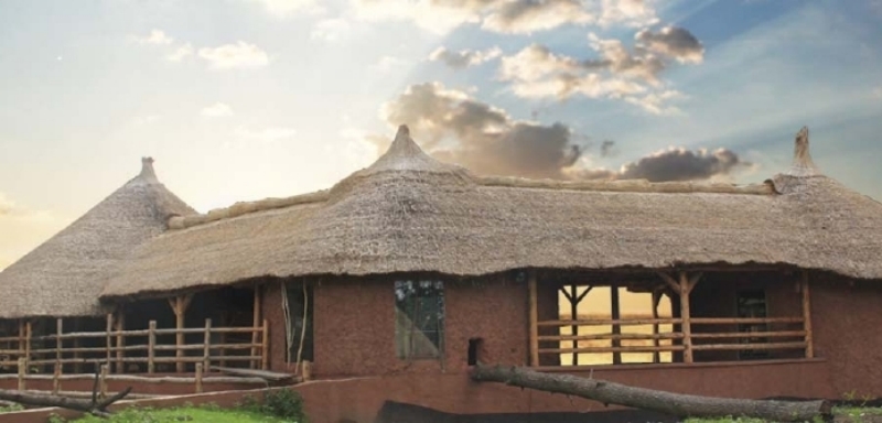 Samburu v brněnské zoo.