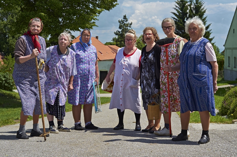 Strana zelených láká různé voliče, snaží se proto mít na kandidátce i zástupce seniorů.