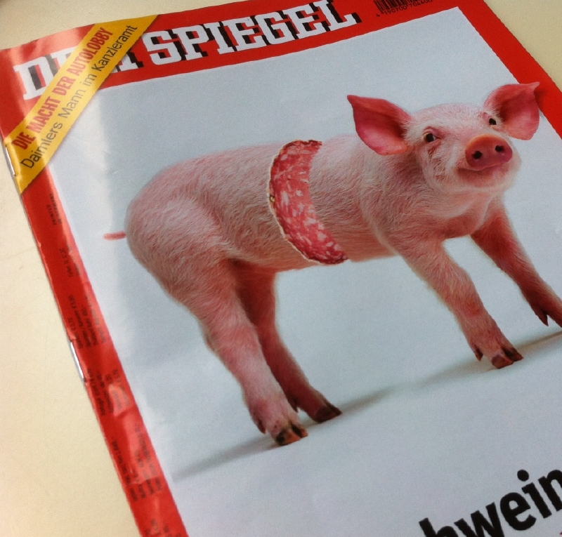 Týdeník Der Spiegel často "šokuje" kontroverznějšími titulními stranami. 