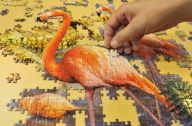 Třídenní puzzle festival ve Zlíně.