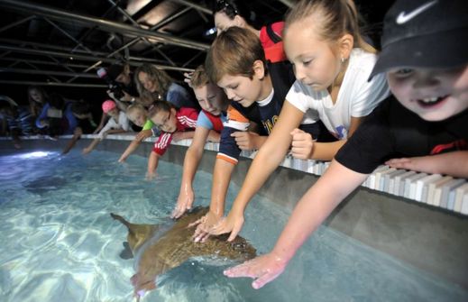 Letos kromě Zátoky rejnoků ve zlínské zoo přibyla také japonská zahrada Mu-Shin.