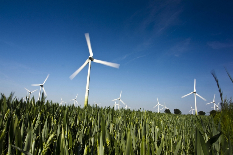 Obnovitelné zdroje energie nemají na zdražování takový vliv, jak si mnozí mysleli. Obnovitelné zdroje energie nemají na zdražování takový vliv, jak si mnozí mysleli.