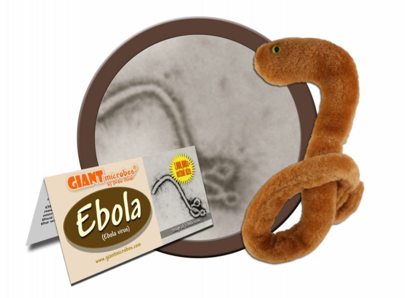 Plyšová ebola zatím není v Česku dostupná. 