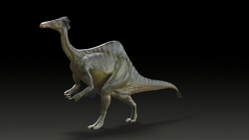 Vědci popsali celého dinosaura, z nějž zatím znali jen přední tlapy.