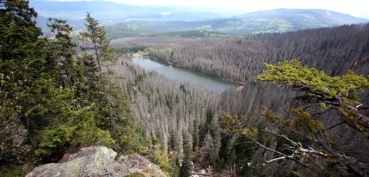 Národní park Šumava.