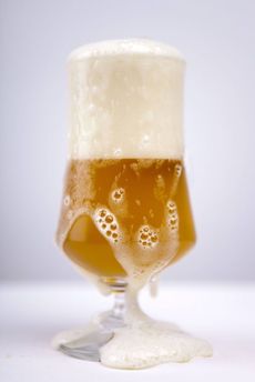 Američtí vědci zjistili, že pivo by mohlo zlepšit poznávací schopnosti.