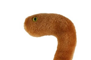 Kuk, chlapečku, já jem tvůj nový kámoš ebola...