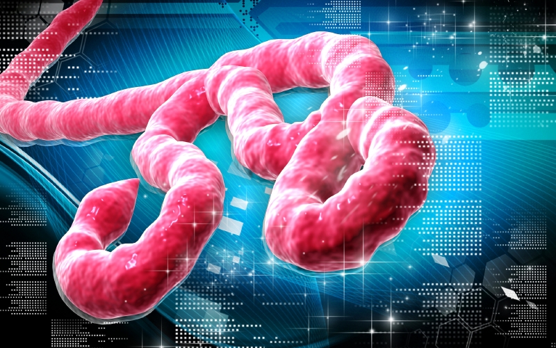 Virus eboly.
