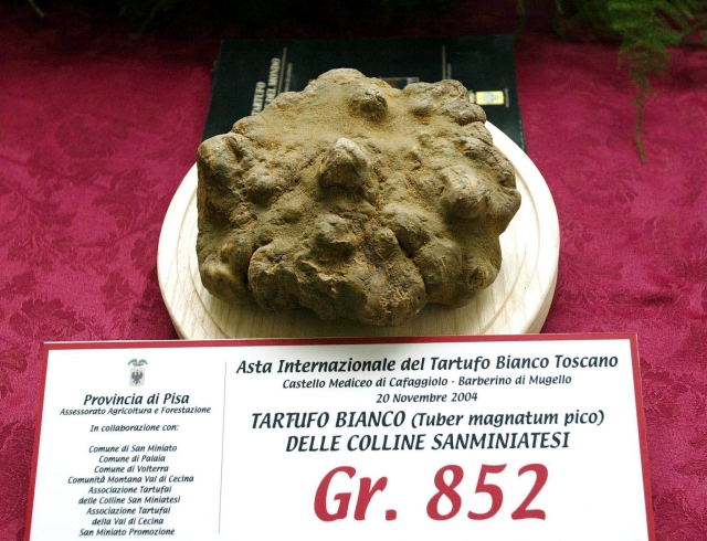 Ilustrační foto.