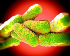 Jedná se prý o třetí nejvýznamnější epidemii legionelózy.
