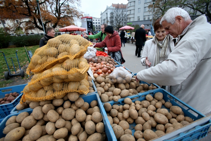 Nadúroda brambor sráží jejich cenu až na dvě koruny za kilogram.