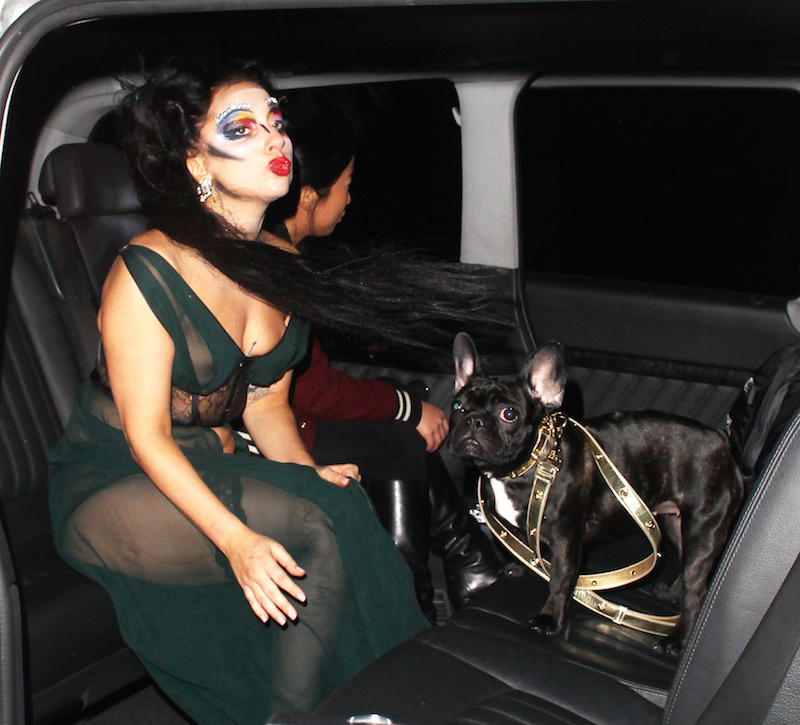 Lady Gaga se nechala tetovat.
