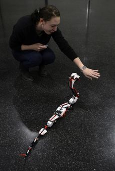 Program také zahrnuje 12 přednášek a prezentací.
