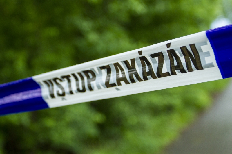 "Na místě zasahují naši chemici, jsme tam na vyžádání policie," potvrdila mluvčí pražských hasičů Pavlína Adamcová. "Na místě zasahují naši chemici, jsme tam na vyžádání policie," potvrdila mluvčí pražských hasičů Pavlína Adamcová.