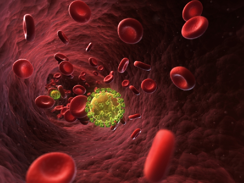3D ilustrace viru HIV (ilustrační foto).