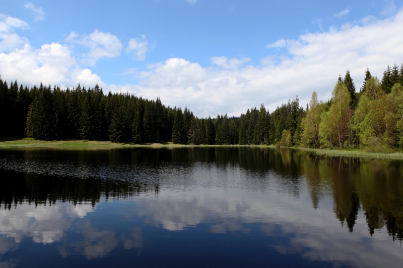 Žďárecké jezero na Šumavě.