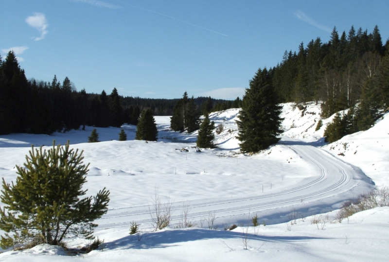 Šumavská krajina Šumavská krajina