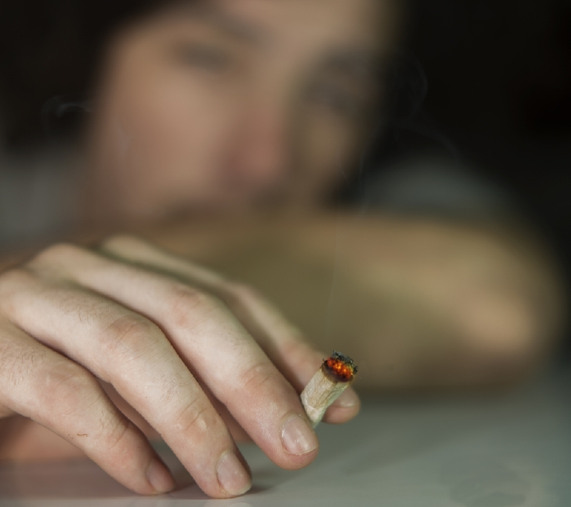 Podle zjištění národního monitorovacího střediska pro drogy a závislosti by vážnější potíže kvůli užívání konopí mohlo v Česku mít kolem 80 tisíc lidí (ilustrační foto).