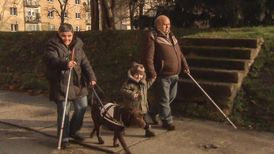 Další díl nazvaný Rodiče poslepu představí příběh nevidomých manželů, kteří touží po dítěti.