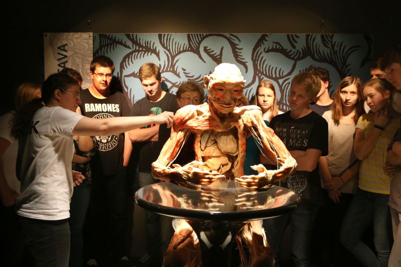 Studenti si spolu s medičkou prohlížejí jednotlivé exponáty.