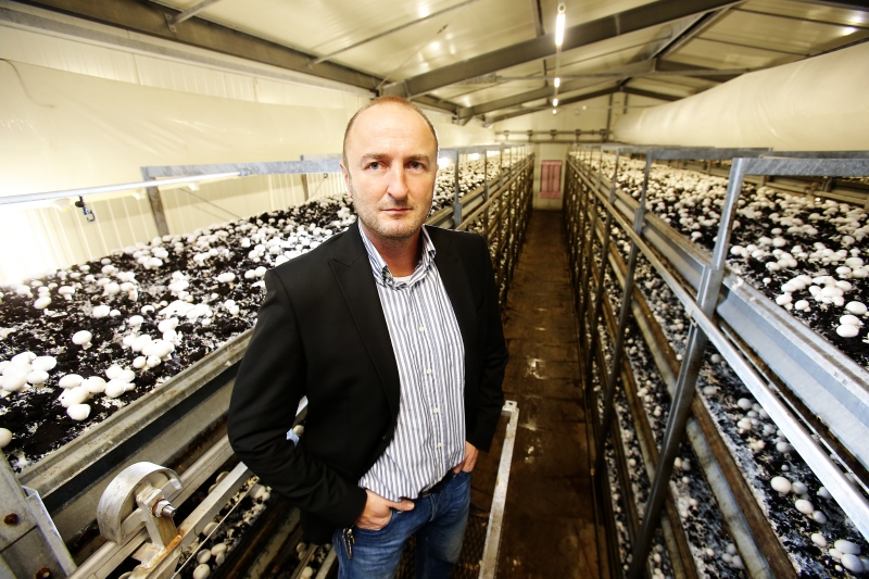 Václav Dolanský v bílém moři žampionů. Houbařskou vášeň v něm probudila rodná Šumava.