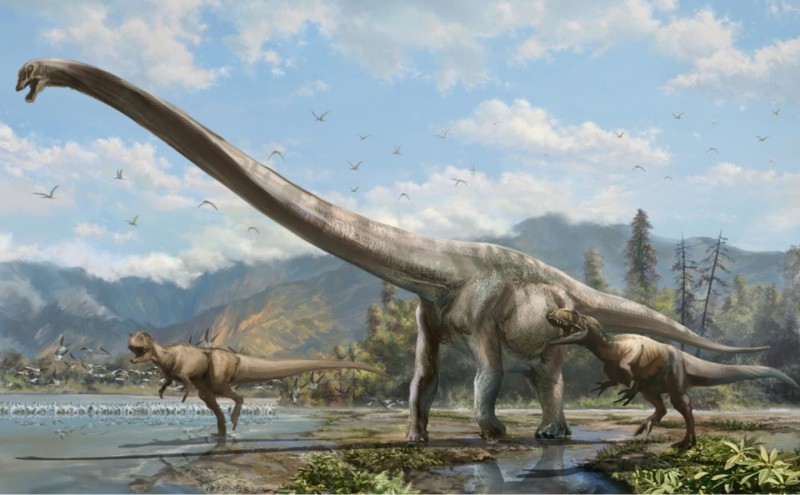 Nový sauropod patřil do skupiny, jejíž příslušníci měli dlouhé krky i na sauropody.