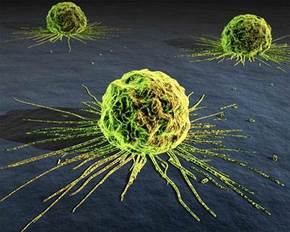 HPV virus.