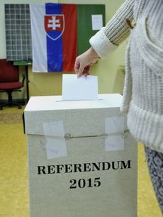 Slovenská referenda zatím neměla velký úspěch.