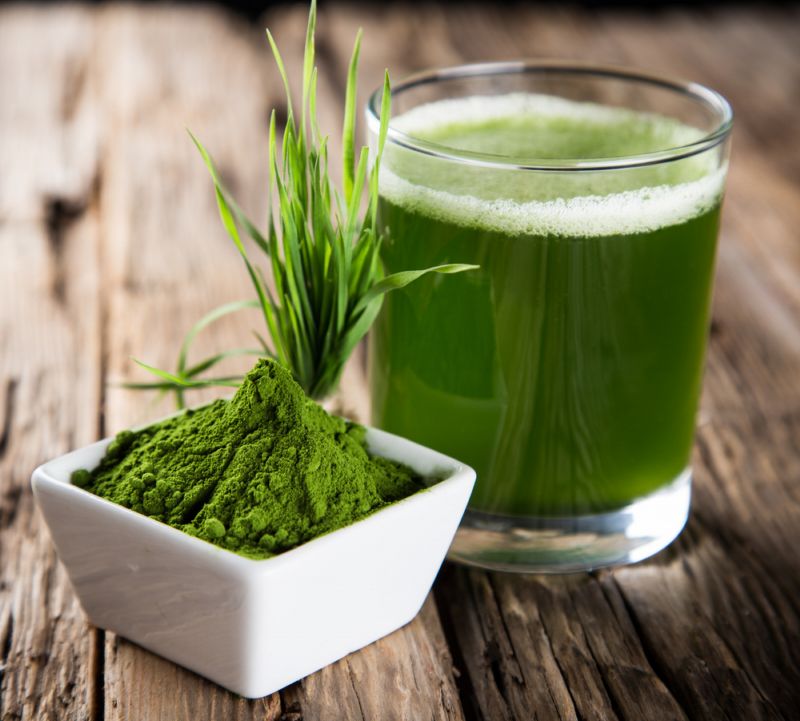 Sladkovodní řasa chlorella obsahuje spoustu důležitých živin.