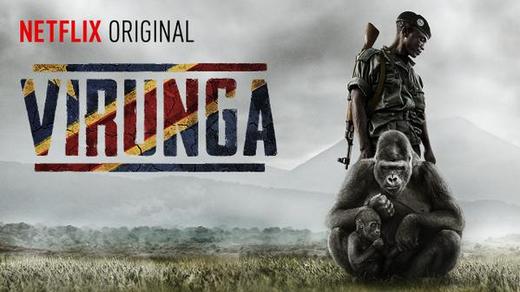 Na filmu Virguna se producentsky podílel i Leonardo DiCaprio.