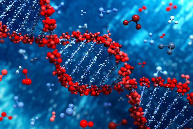 Lidská DNA (ilustrační foto).